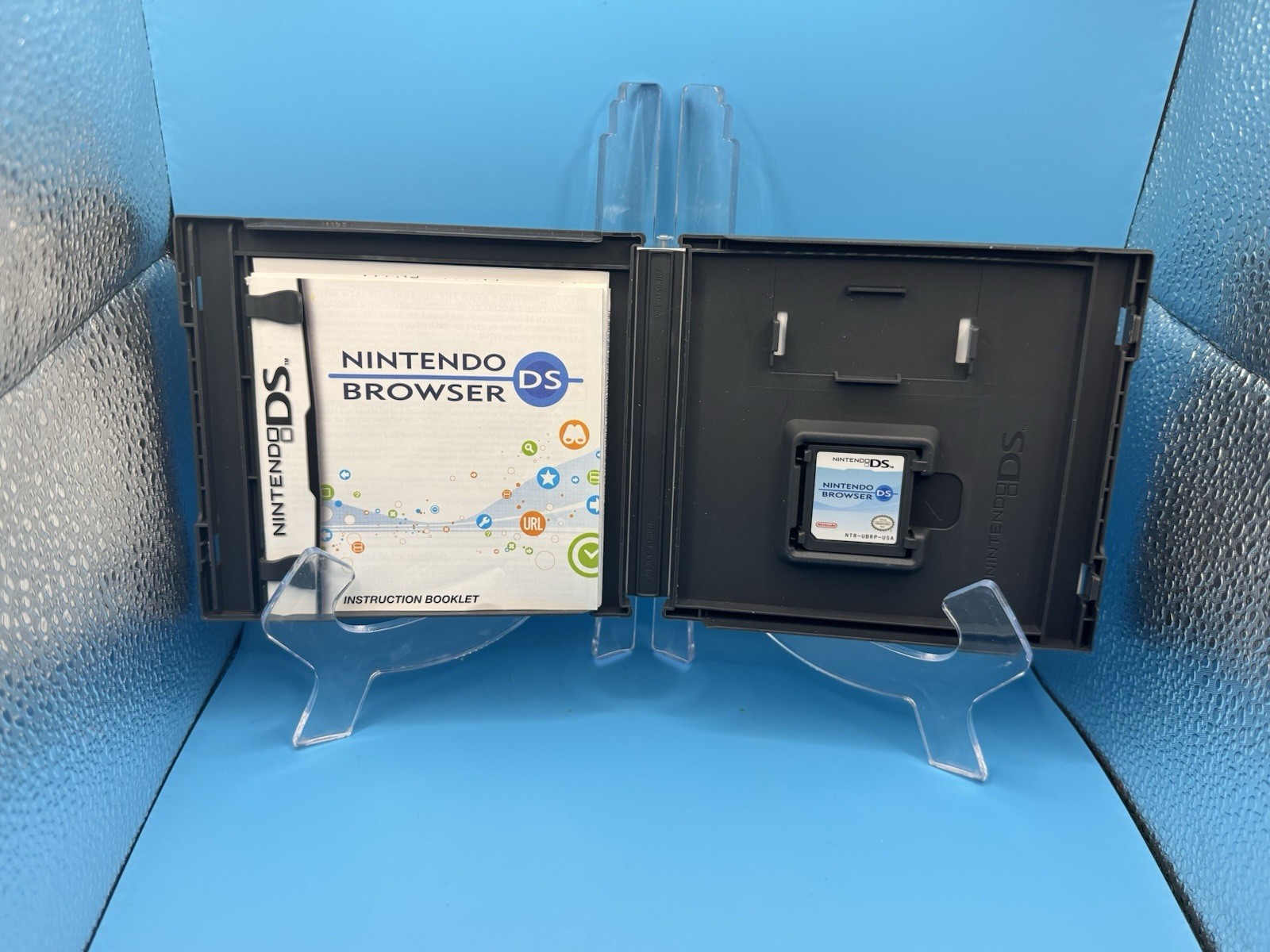 Nintendo DS Browser a Web browser