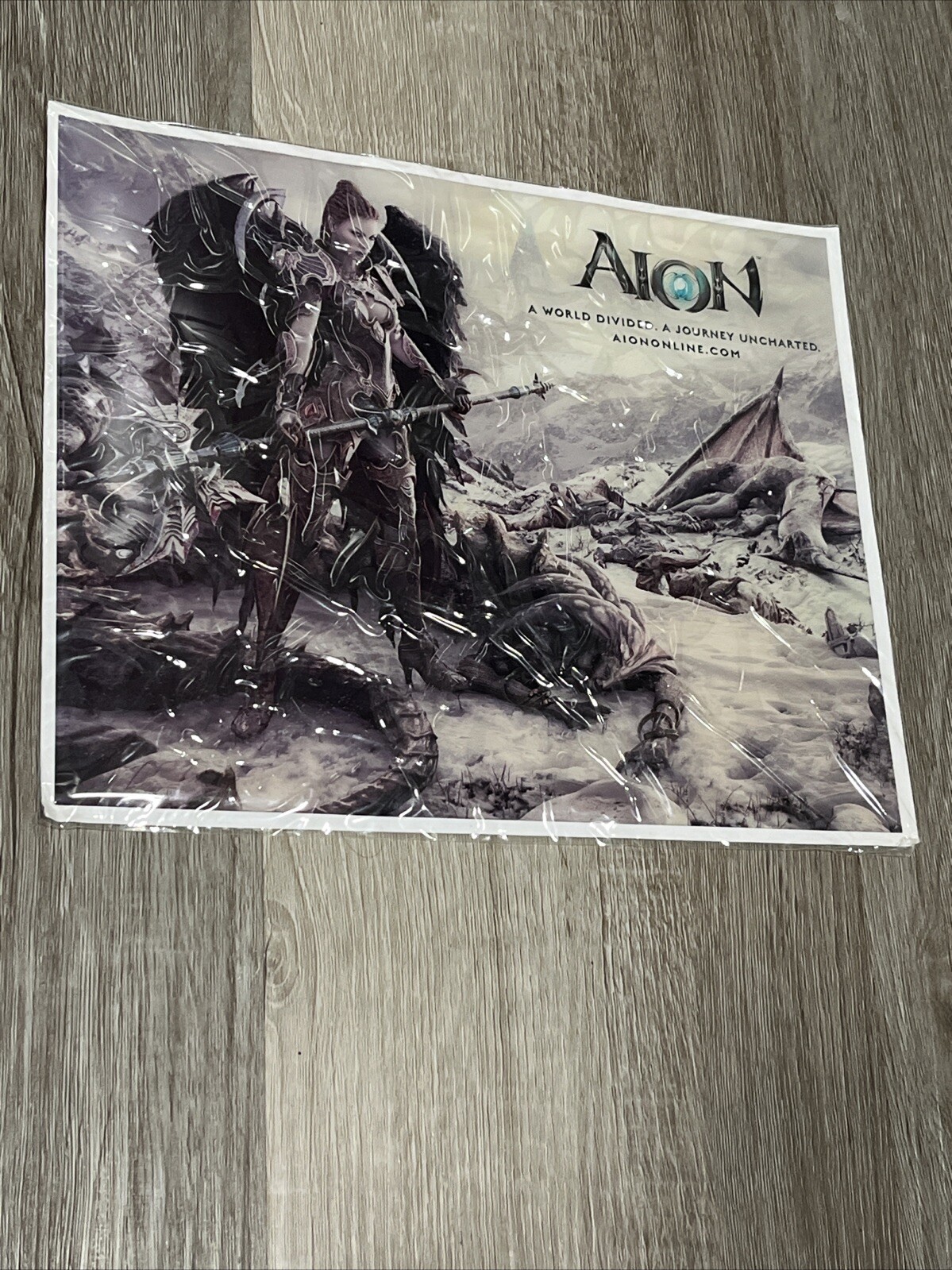 Aion A World Divided A Journey Uncharted Promotional Picture Portrait 10”x 8.25”