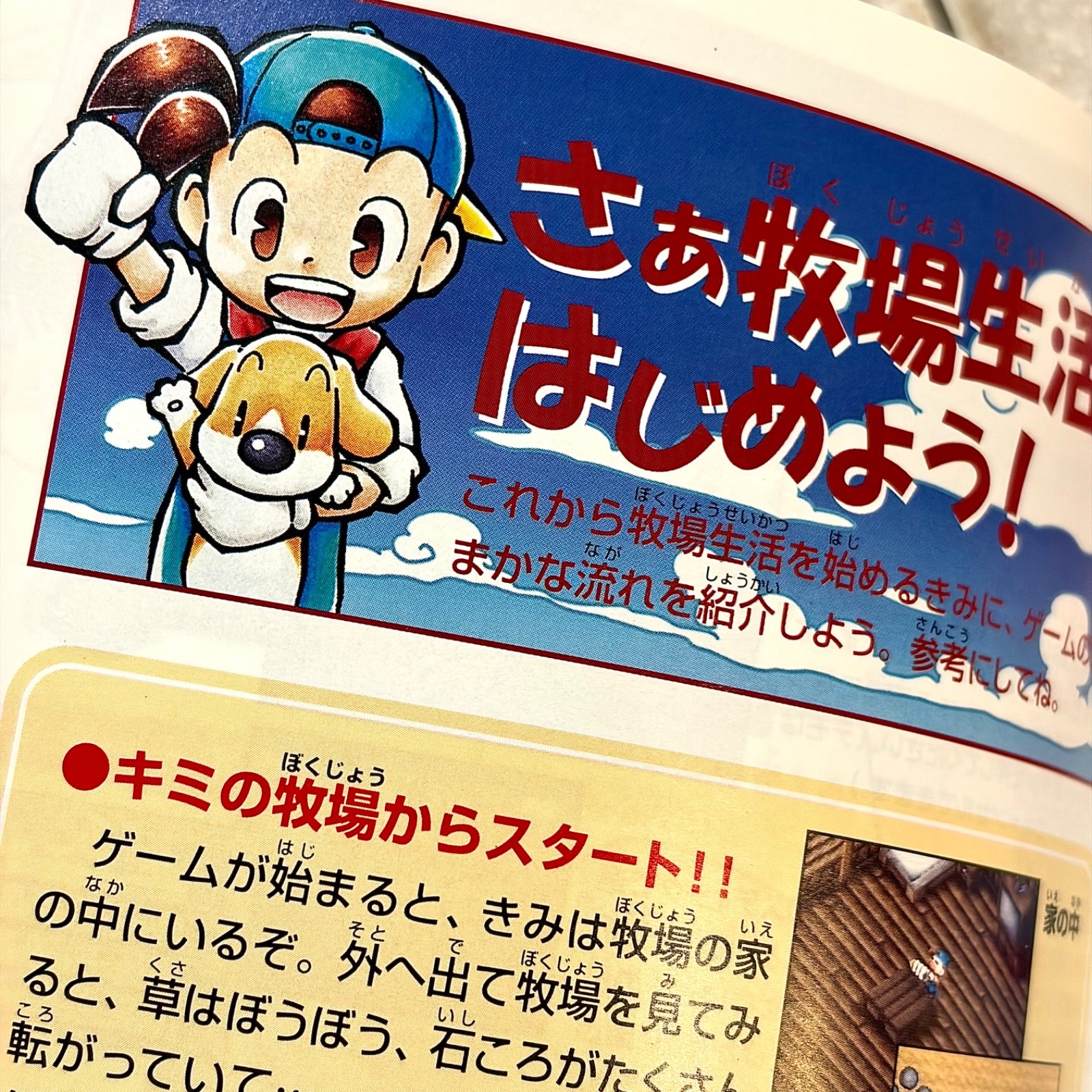 Harvest Moon 64 CIB Play on USA N64 Bokujou Monogatari 2 Nintendo 64 AUTHENTIC