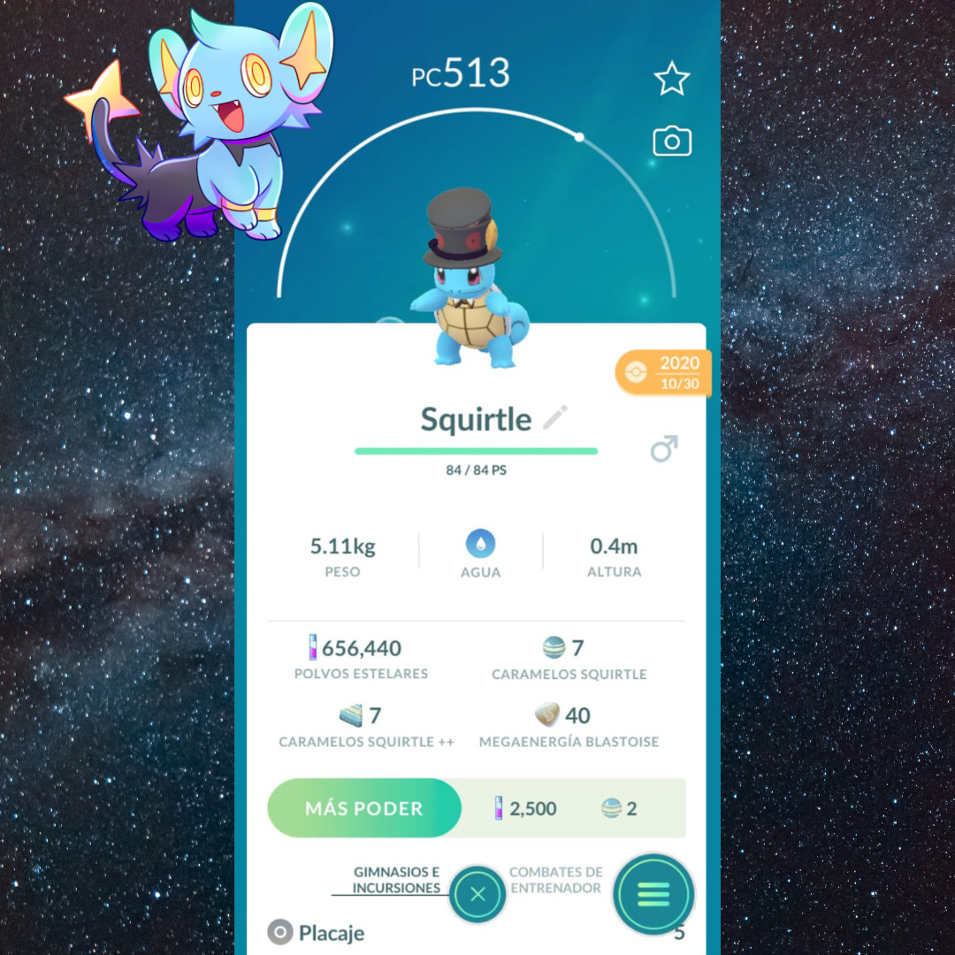 Squirtle Top Hat Halloween Costume – Pokémon Go Trade ✨
