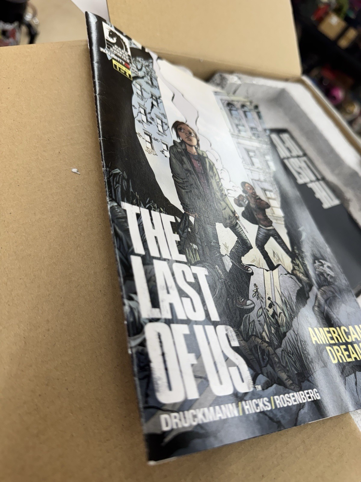 The Last of Us: Post Pandemic Edition (Playstation 3, 2013)