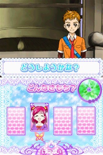 Precure NINTENDO DS NDS JP JAPAN PRECURE 5GOGO