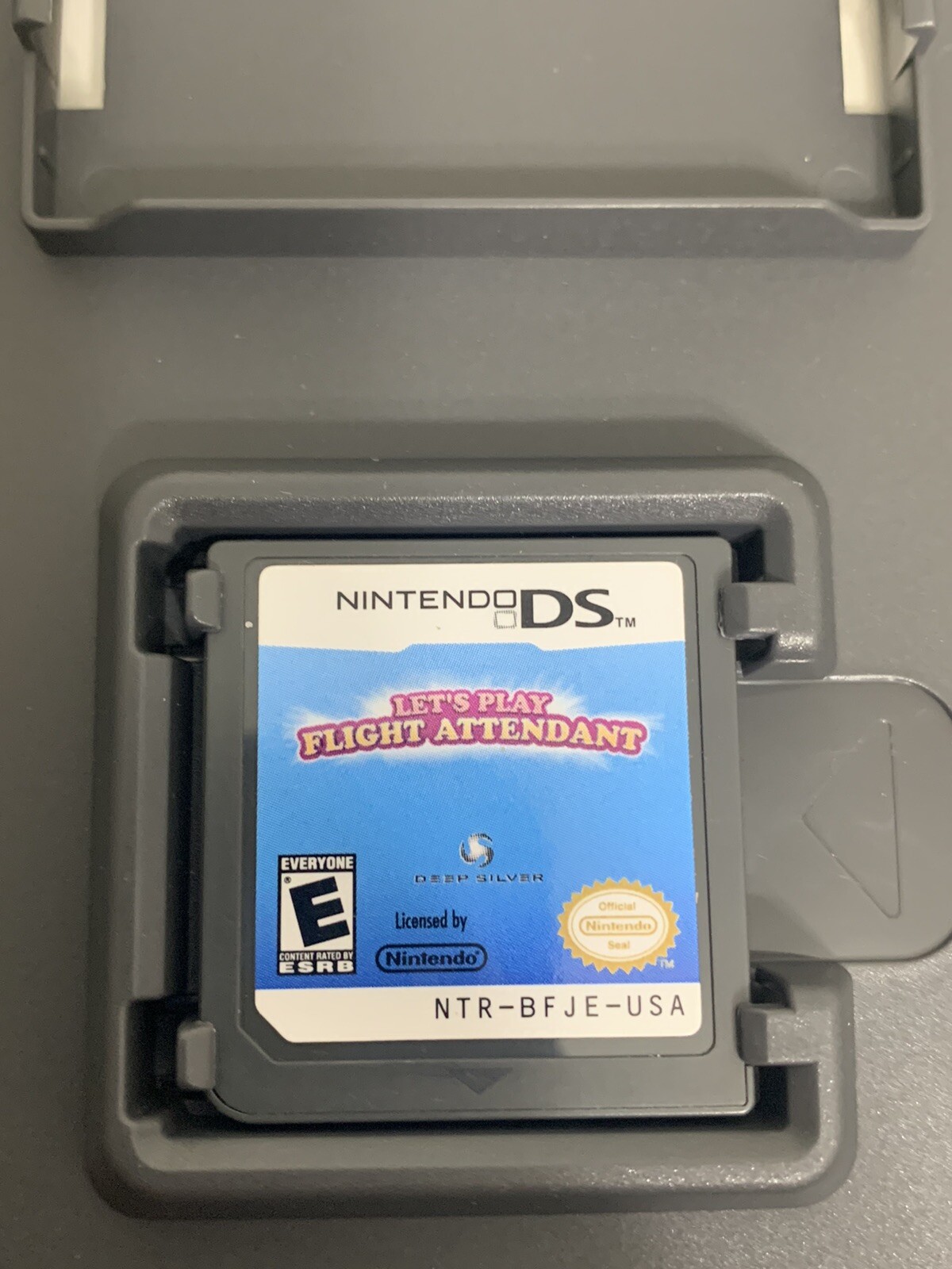 Let’s Play Flight Attendant DS Nintendo DS Cartridge Only