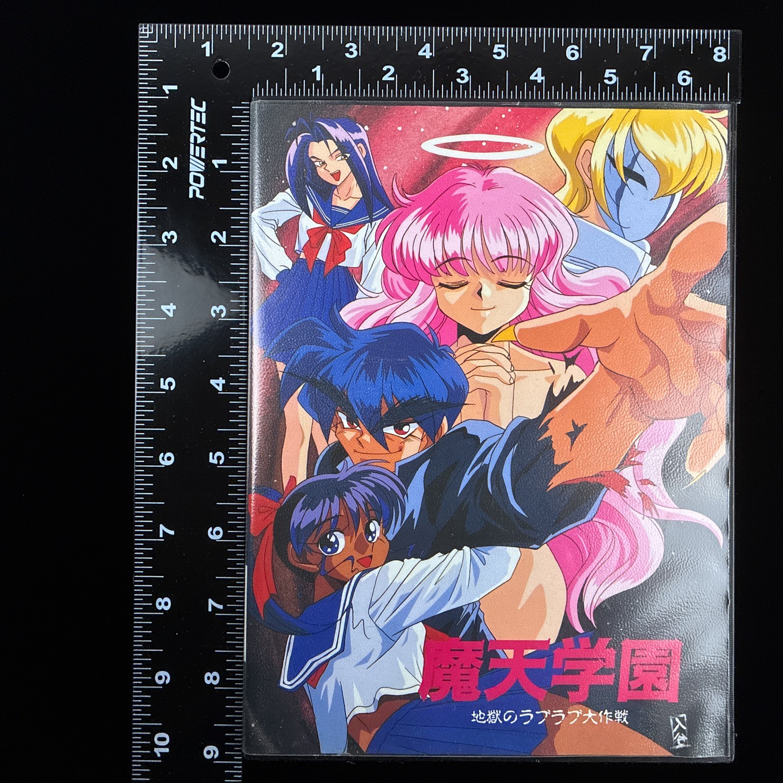 Birdy Soft Maten Gakuen Hell’s Love-Love Mission PC-9801 PC98 Visual Novel Game