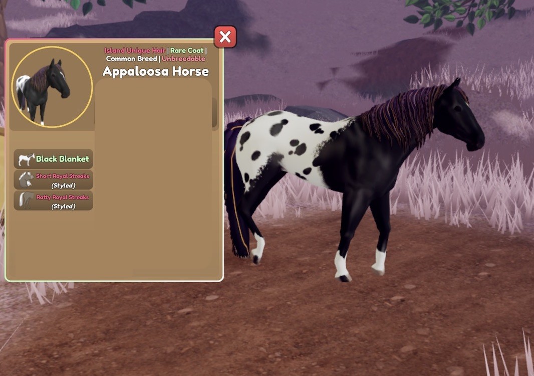 Wild Horse Islands 🌸 IUH Royal Black Blanket Appaloosa Rc 🌸