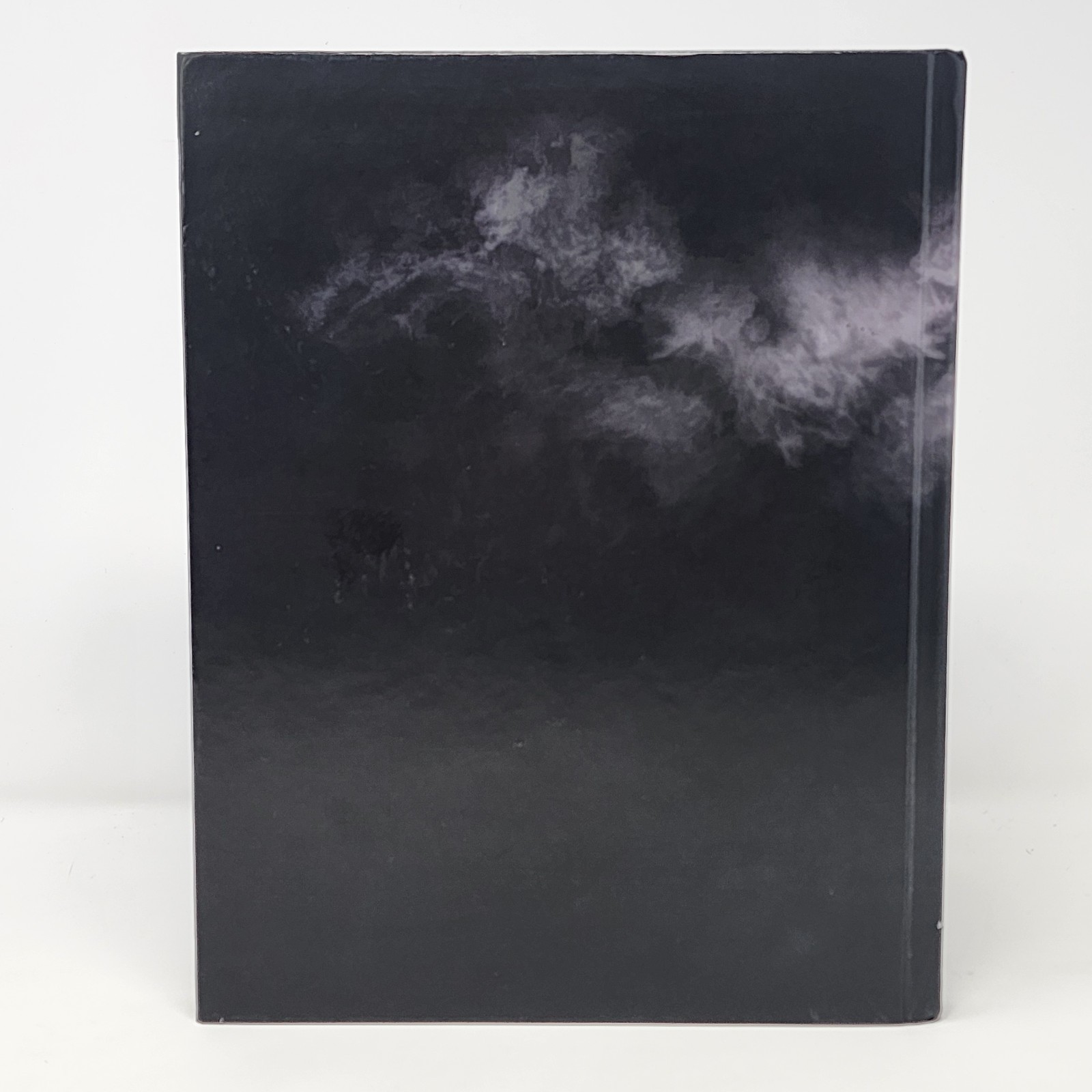 Resident Evil 6 Limited Edition Hardcover Strategy Guide PS3 Xbox 360 BradyGames