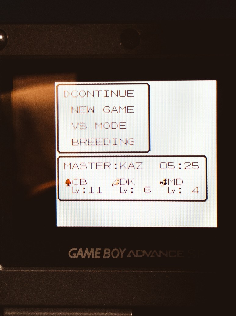 SAVES Dragon Warrior Monsters Nintendo Gameboy Color Tested Authentic GBC