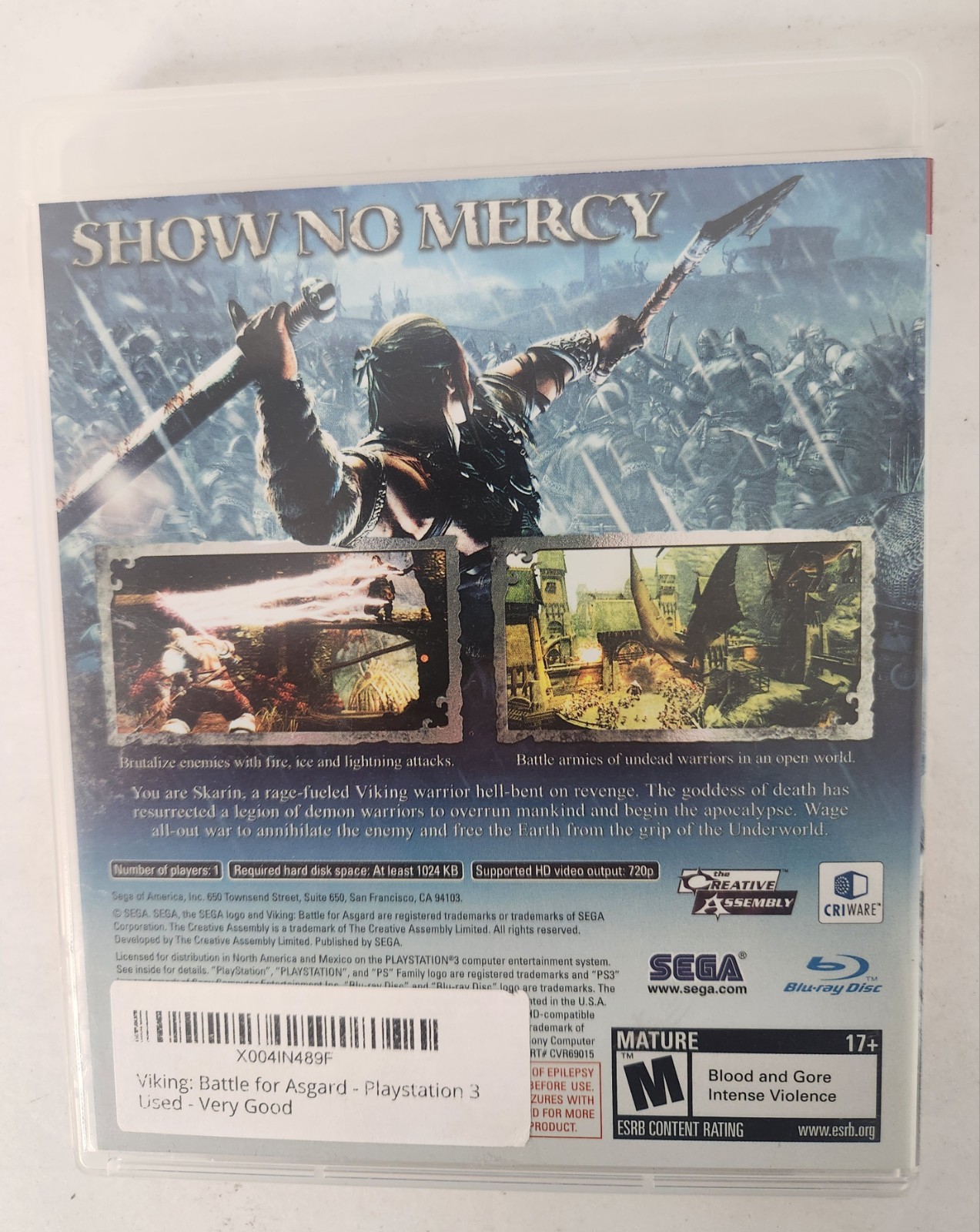 Viking: Battle for Asgard (Sony PlayStation 3, 2008)