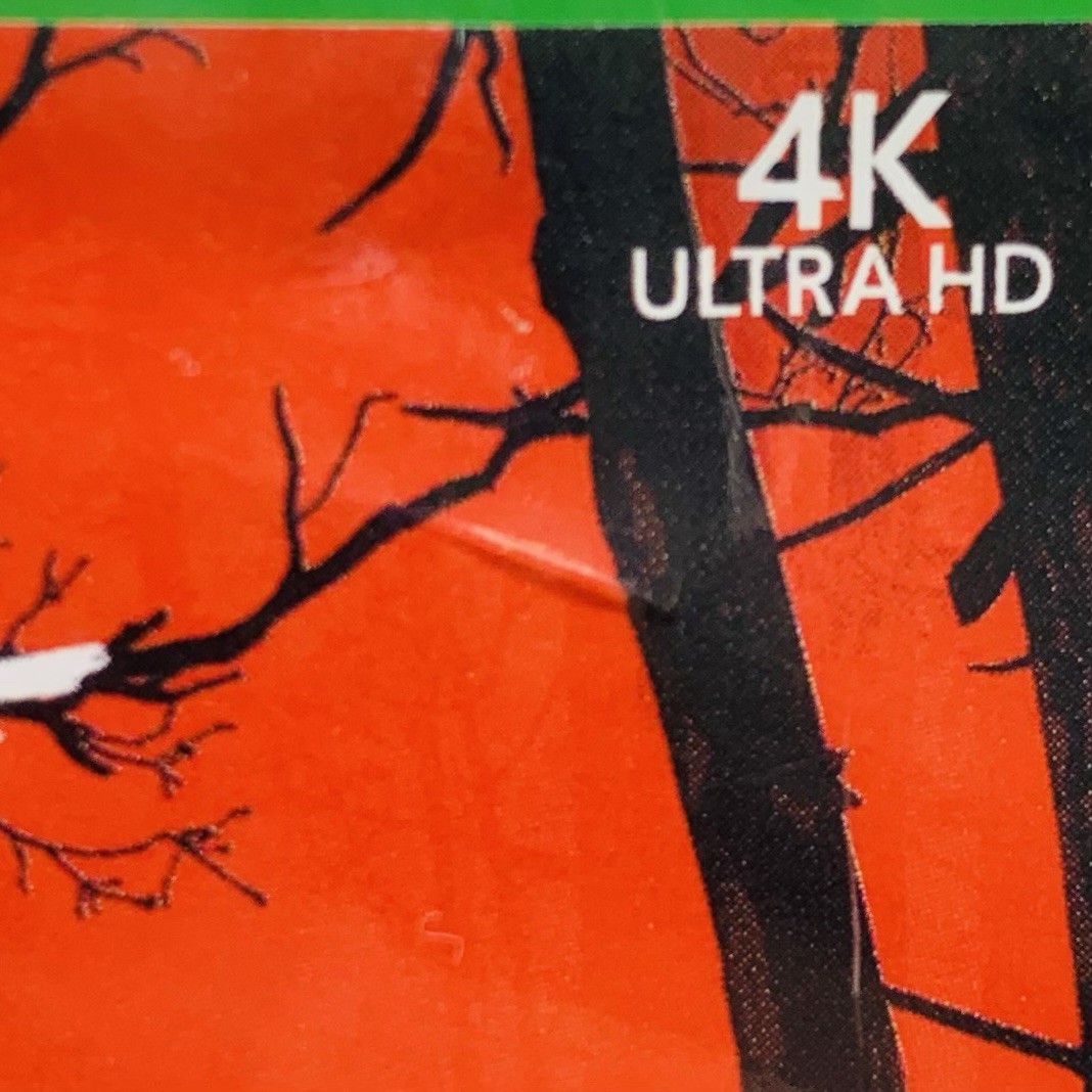 Blair Witch PEGI 16 Microsoft Xbox One, 2020 – Brand New Factory Sealed