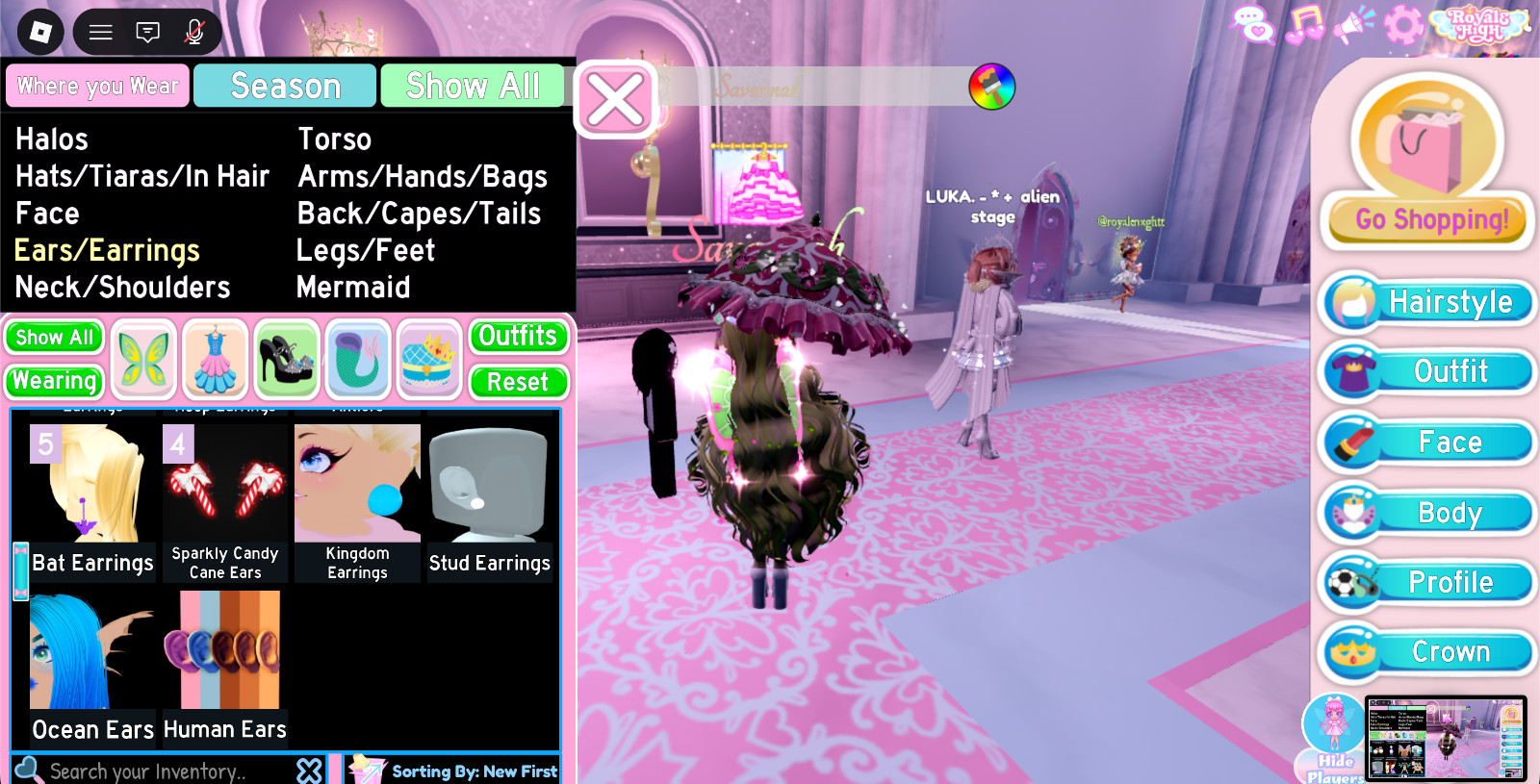 ROYALE HIGH ITEMS!!! SETS, ACCESSORIES, DIAMONDS