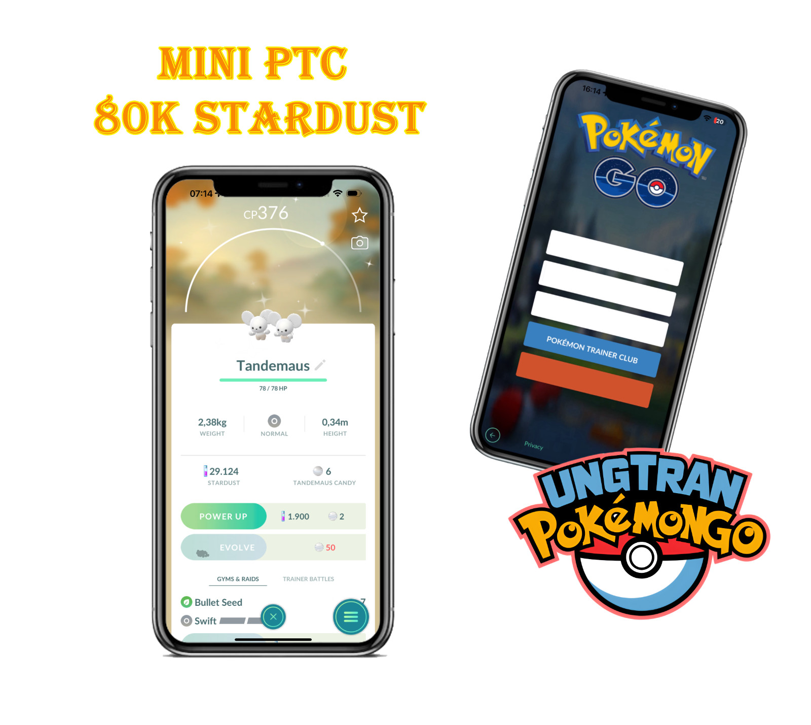 Shiny Tandemaus – mini P T C 100k stardust