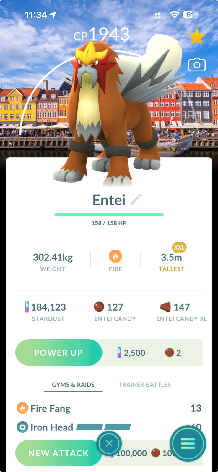 Pokémon Non Shiny Entei Copenhagen background Go Fest 2026 size XXL – Trade
