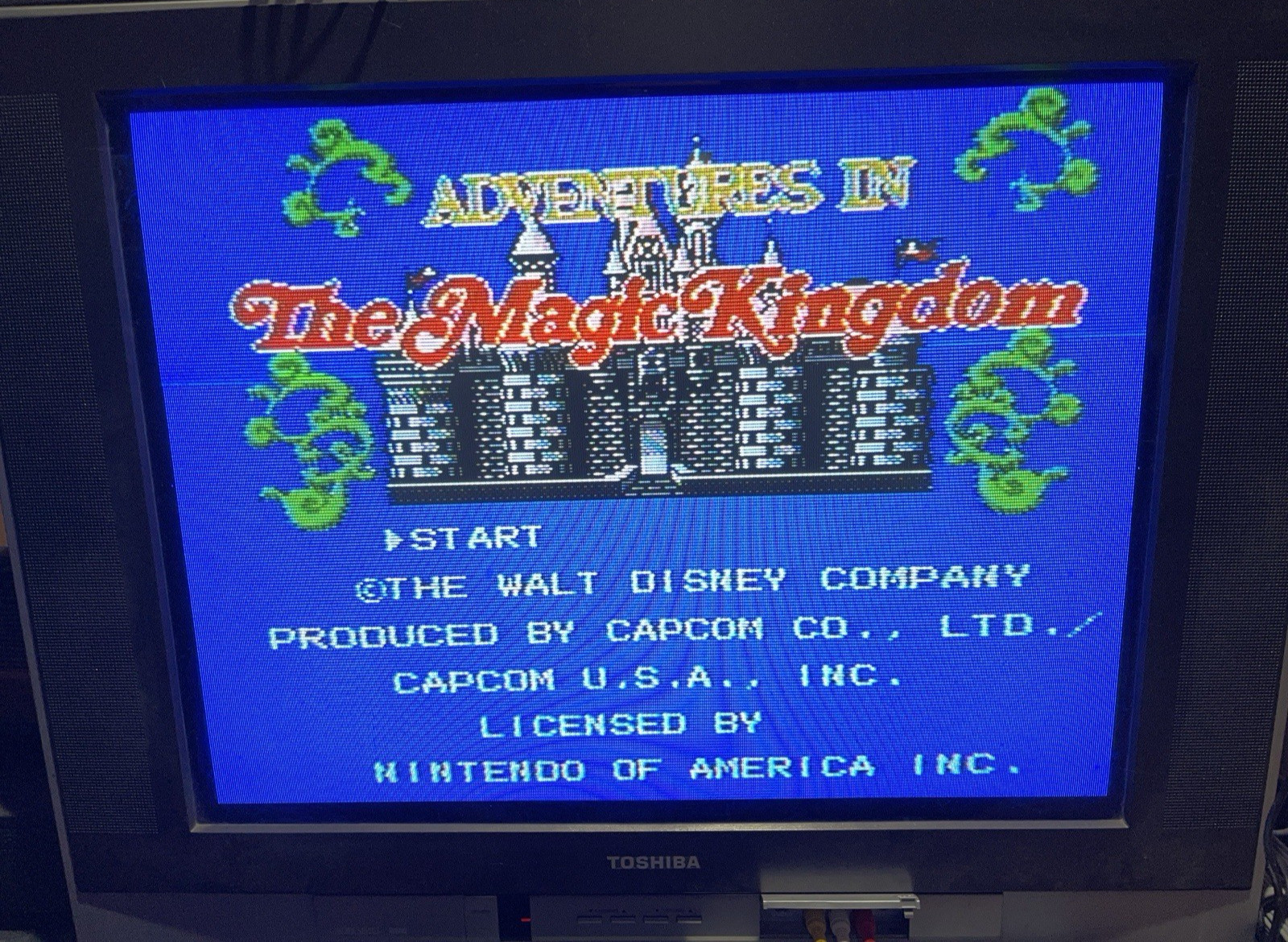 Disney Adventures in the Magic Kingdom NES with Manual & Sleeve Tested & Working