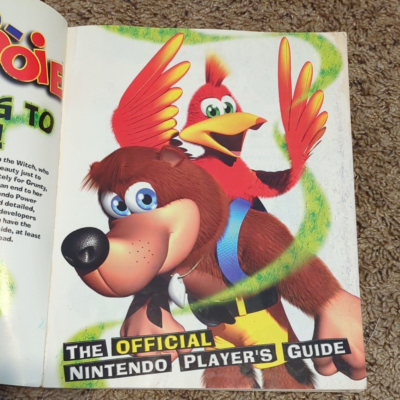 Banjo Kazooie Nintendo 64 N64 Power Player’s Strategy Guide Map
