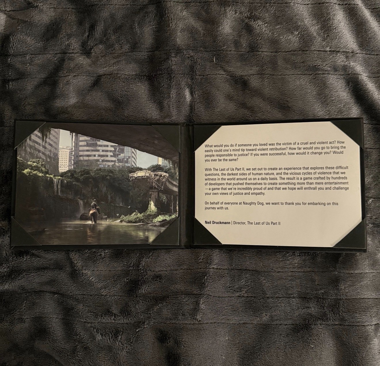 The Last of Us Part 2 Collectors Edition Collectibles 5 Item Lot – PlayStation