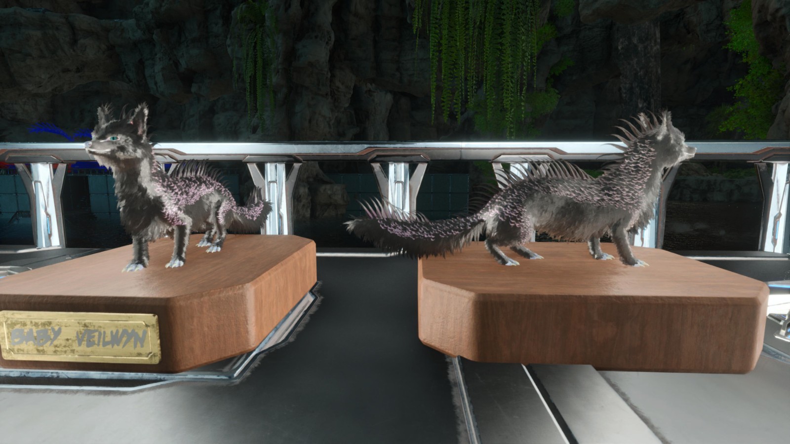 VEILWYN TOP WEIGHT BLACK ID79 BABY PAIR ARK ASCENDED PVE OFFICIAL PC/XBOX/PS5