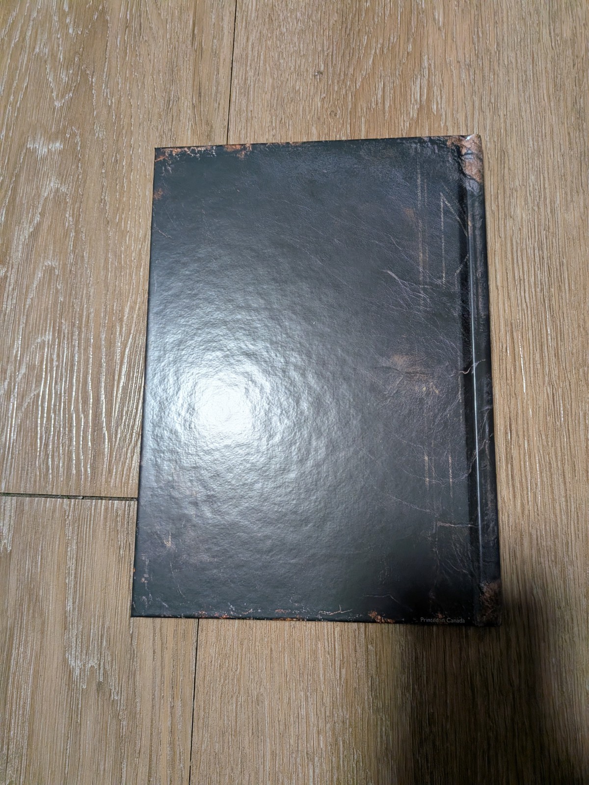 PS5 The Expeditioner’s Journal Art Book Clair Obscur Expedition 33 Lumiere