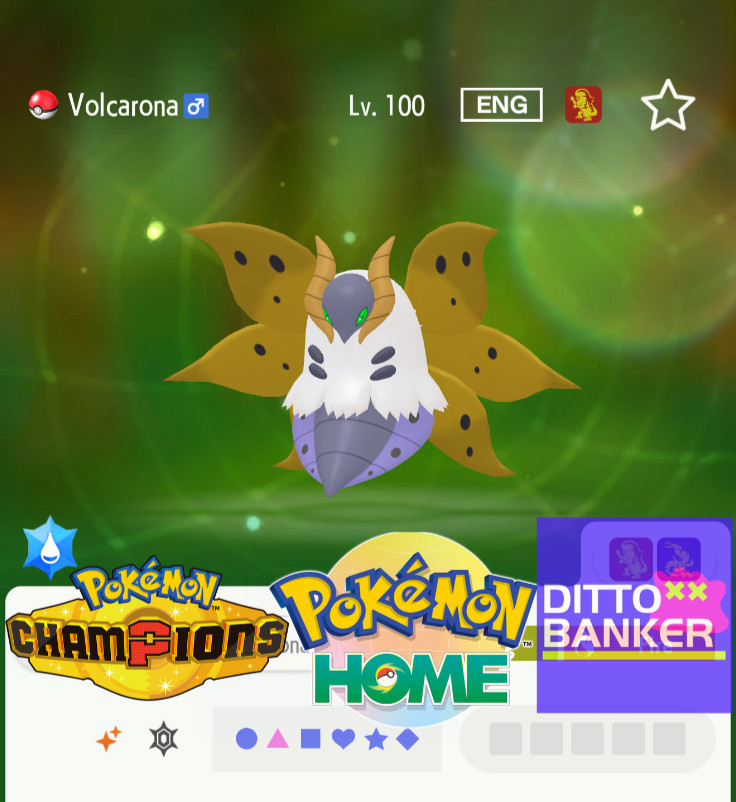 Pokemon Champions/Home Shiny VOLCARONA Transfér to HOME Lv.100 Competitive 6IV