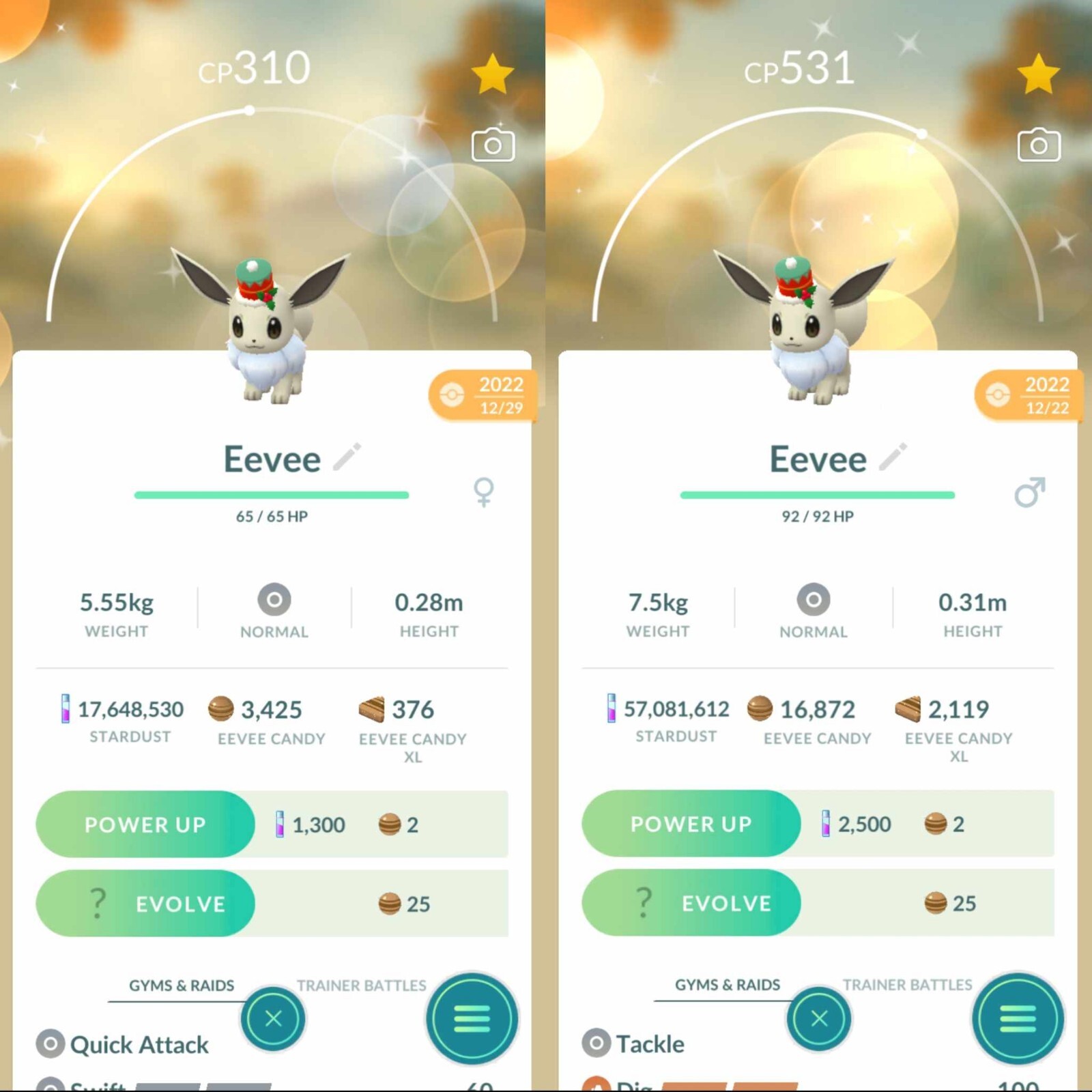 Pokemon Shiny Eevee Wearing a Holiday Hat – TRA’DE 20k Dust GO – Description