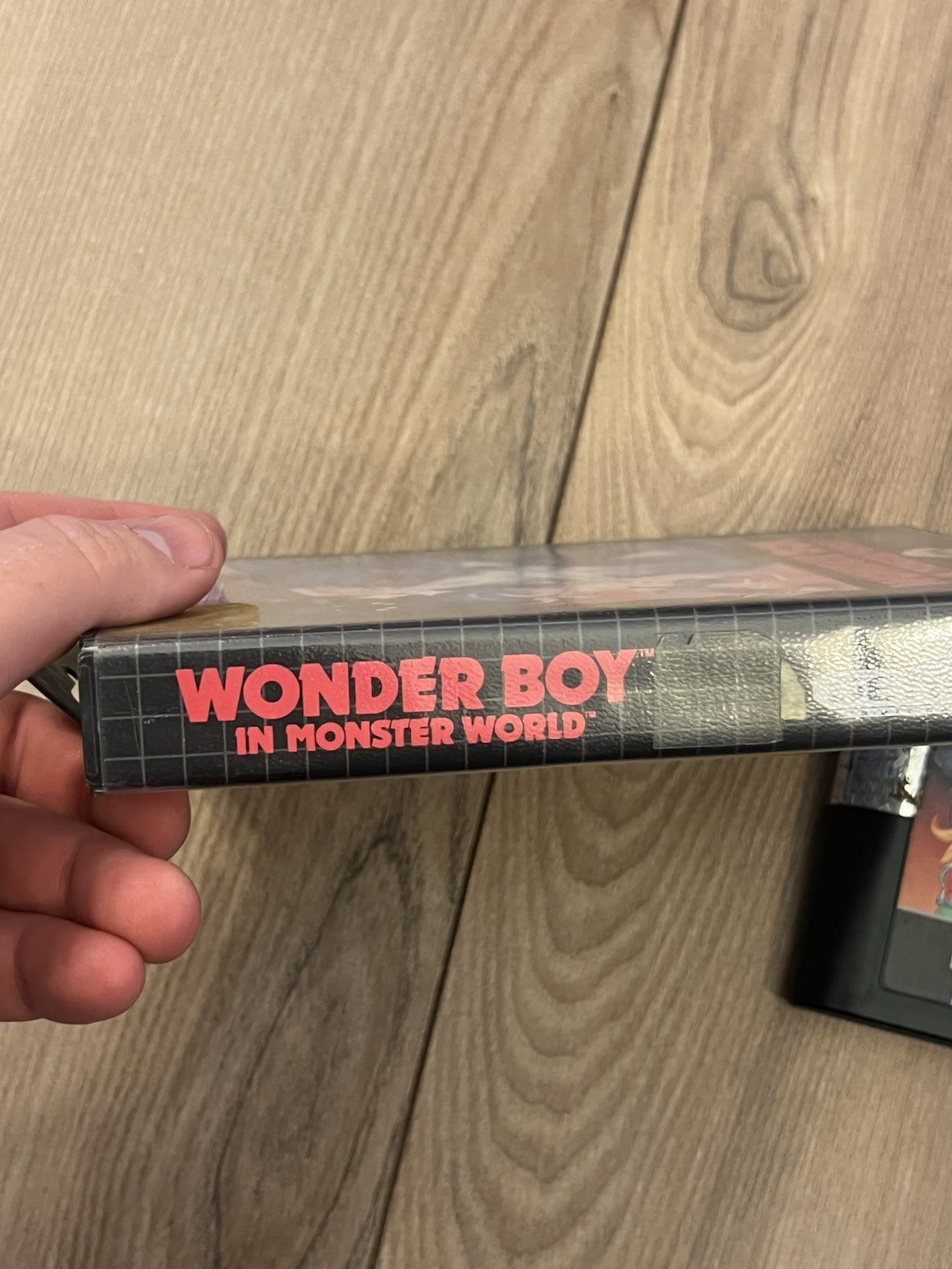 Wonder Boy in Monster World (Sega Genesis, 1990) No Manual Tested Works