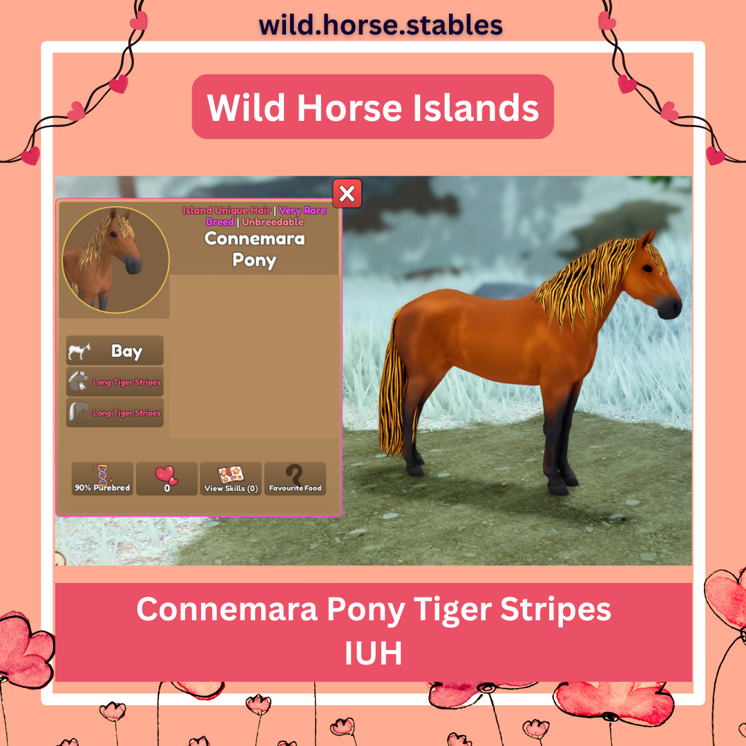 Wild Horse Islands – Connemara Pony Island Unique Hairs/IUH