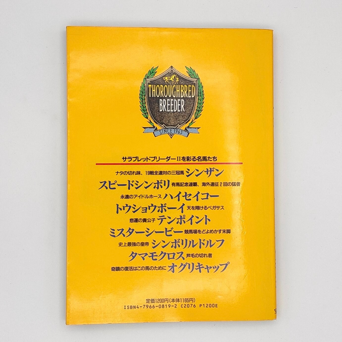 Thoroughbred Breeder 2 A book to play 100 times Guide Nintendo Super Famicom SFC
