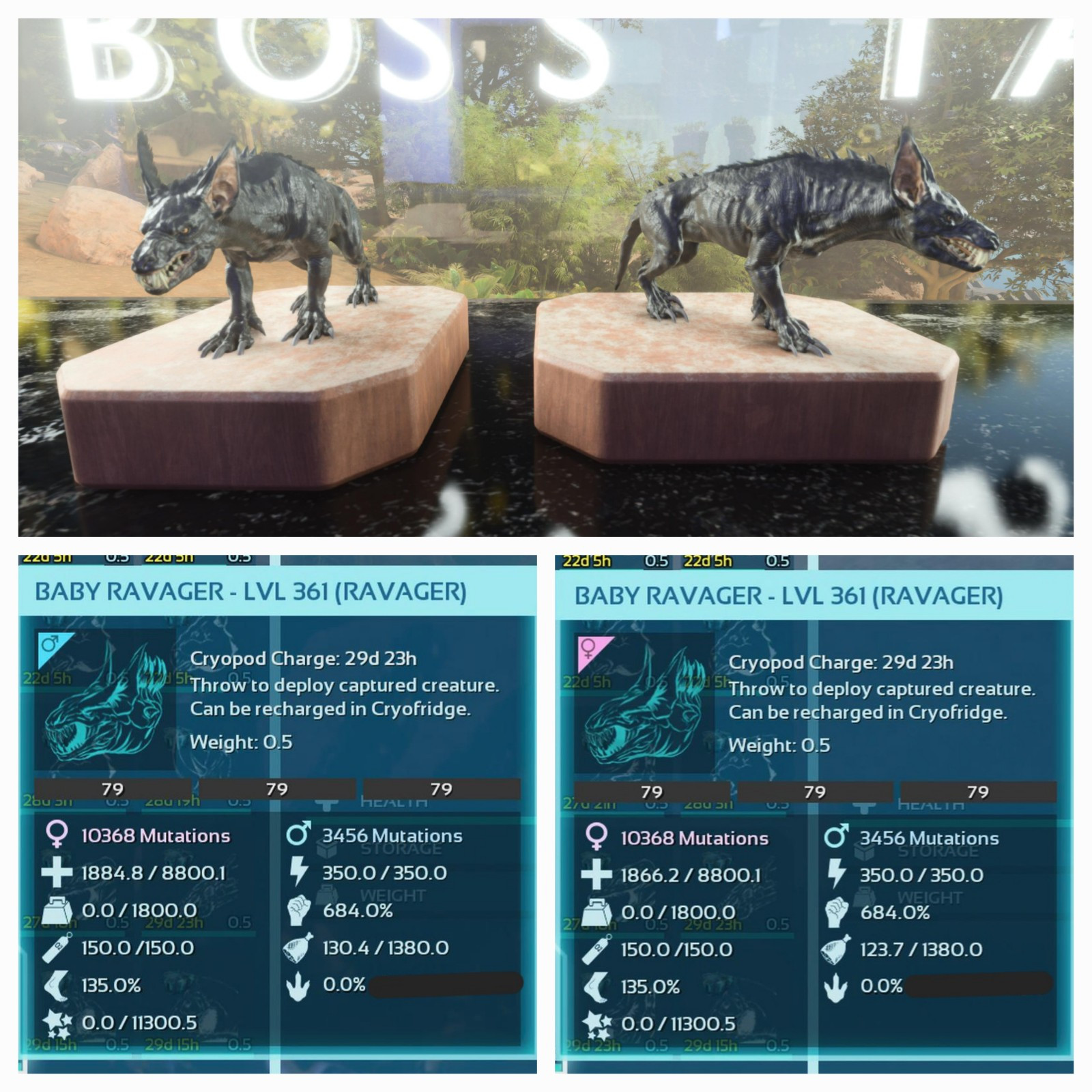 ARK ASCENDED PVE OFFICIAL PAIR BABY RAVAGER BLACK ID79 TOP STATUS PC/XBOX/PS5
