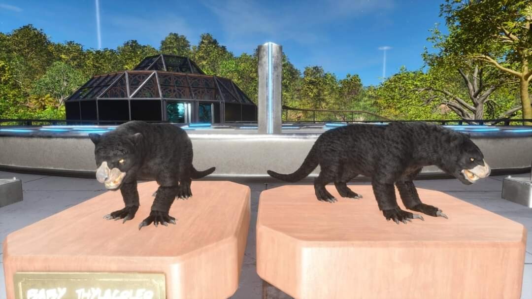 ARK ASCENDED PVE OFFICIAL PAIR BABY THYLA BLACK ID79 TOP STATUS PC/XBOX/PS5