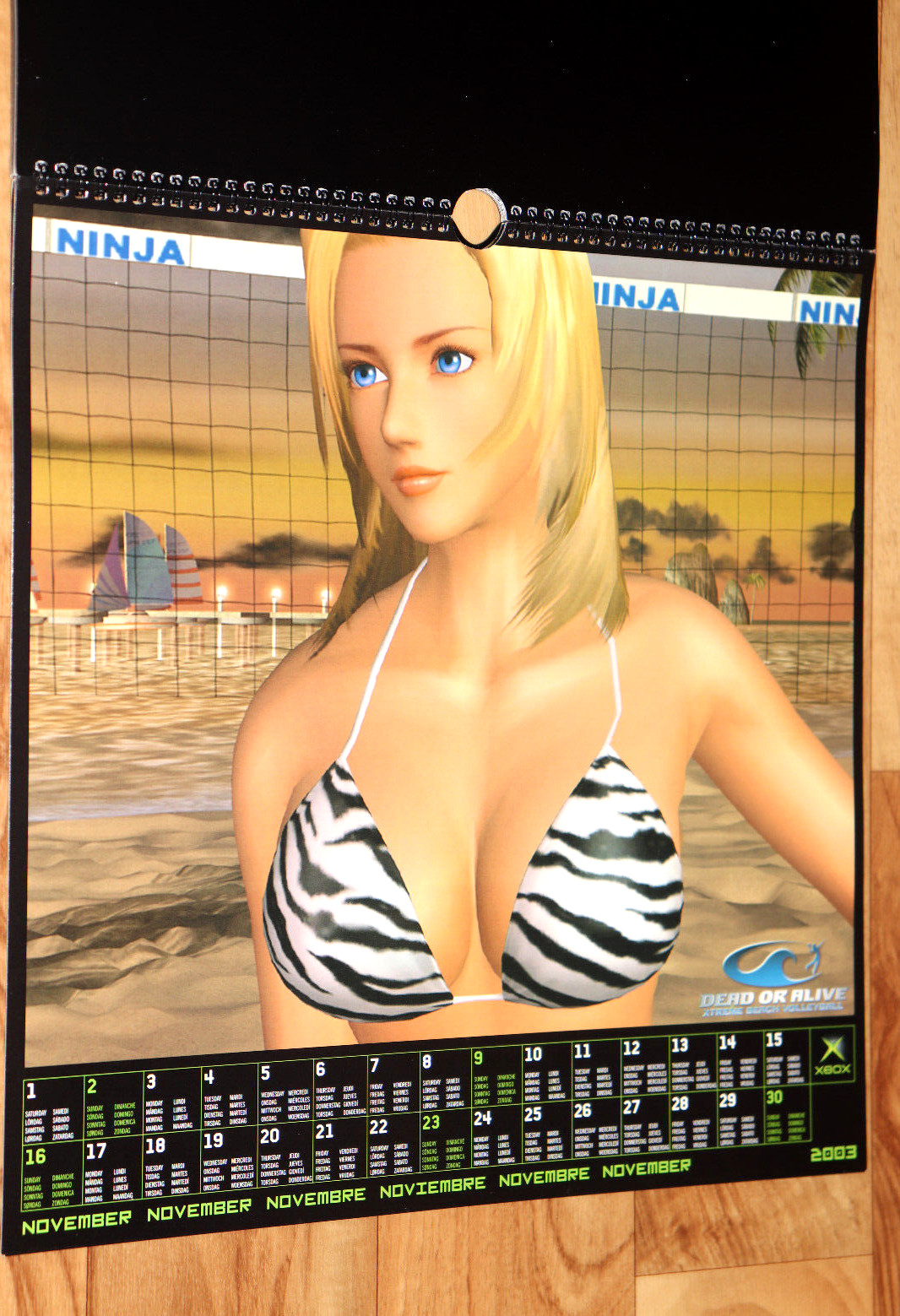 2003 Dead or Alive Xtreme Beach Volleyball Very Rare Calendar Collectible