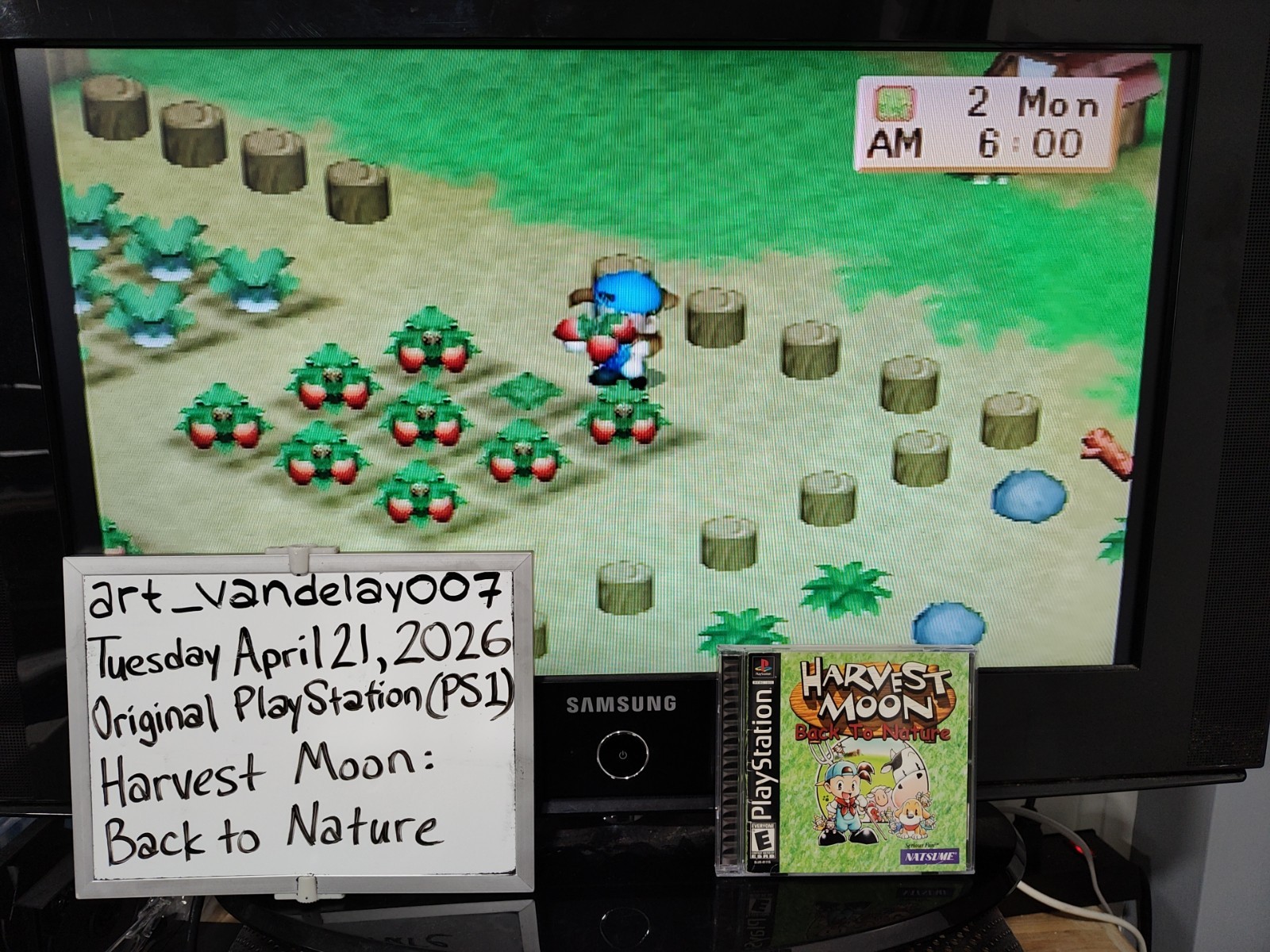 Harvest Moon: Back to Nature (PS1, 2000) *CIB w/ Reg Card + Case Protector* VGC