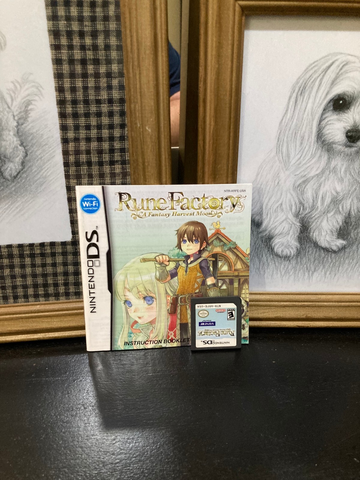 Rune Factory: A Fantasy Harvest Moon (Nintendo DS, 2007)