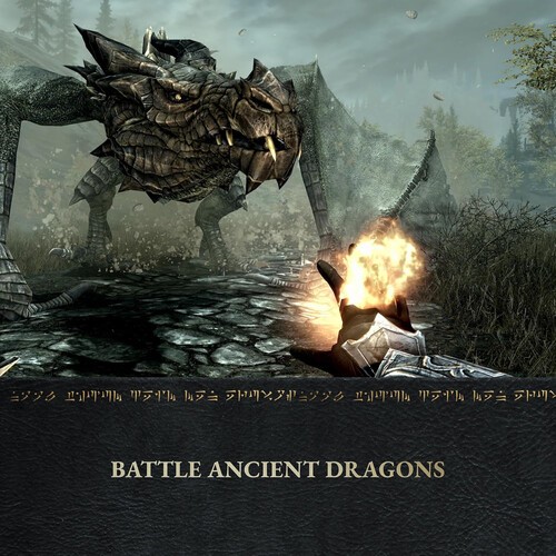 Skyrim Anniversary Edition for Nintendo Switch 2 [New Video Game]