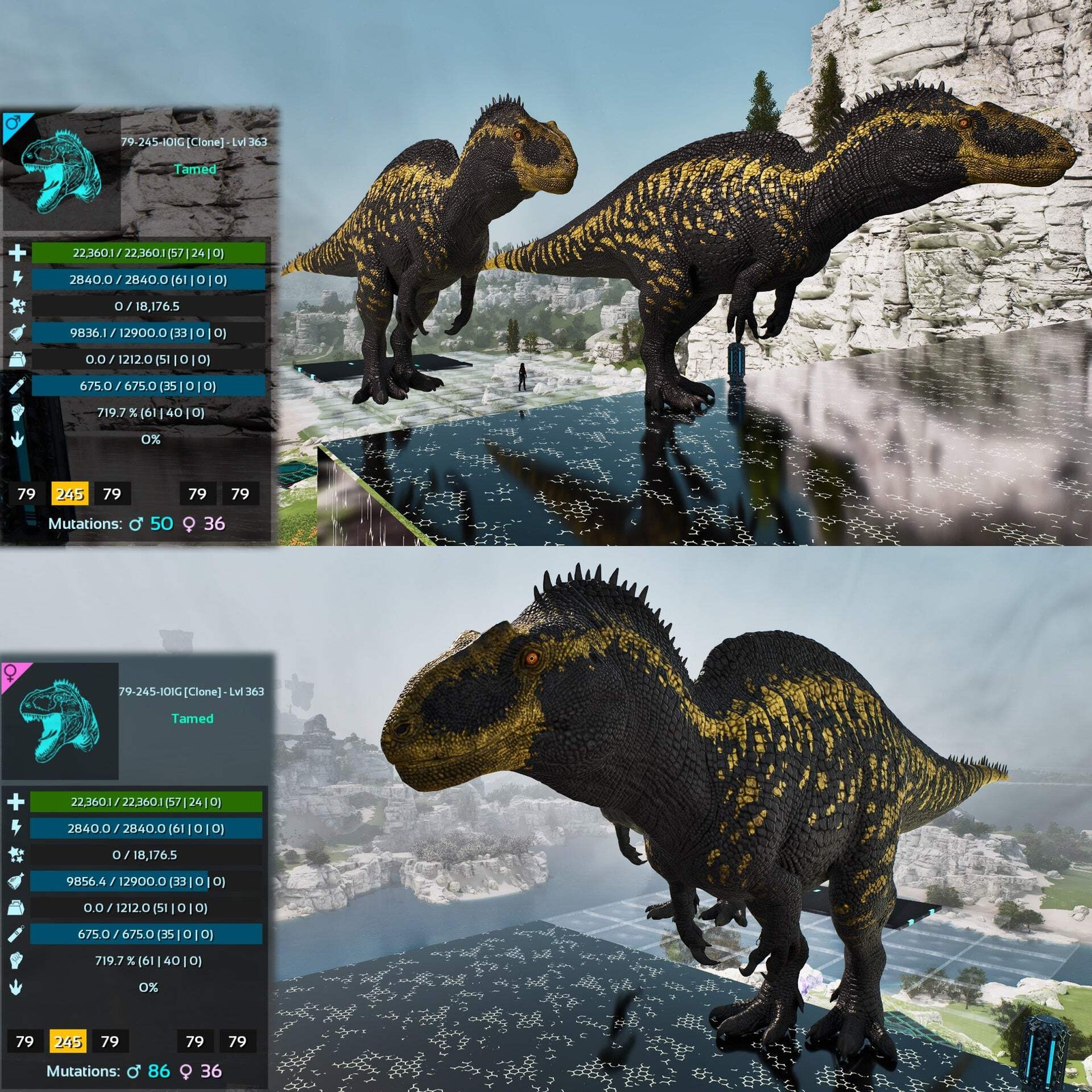 Acro Acrocanthosaurus 362-363Lvl Clone ASA PVE 🦖ARK Survival Ascended