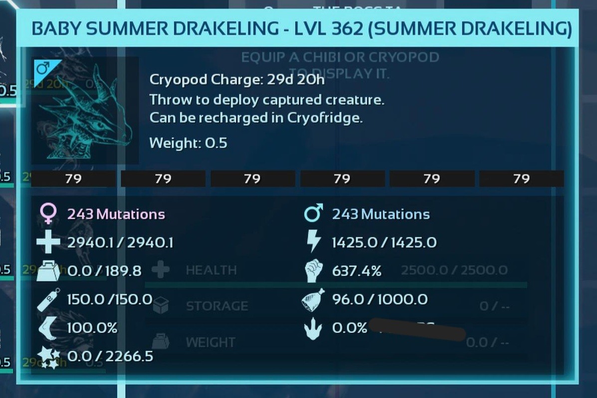 DRAKELING SUMMER BLACK ID79 PAIR BABY ARK ASCENDED PVE PC/XBOX/PS5