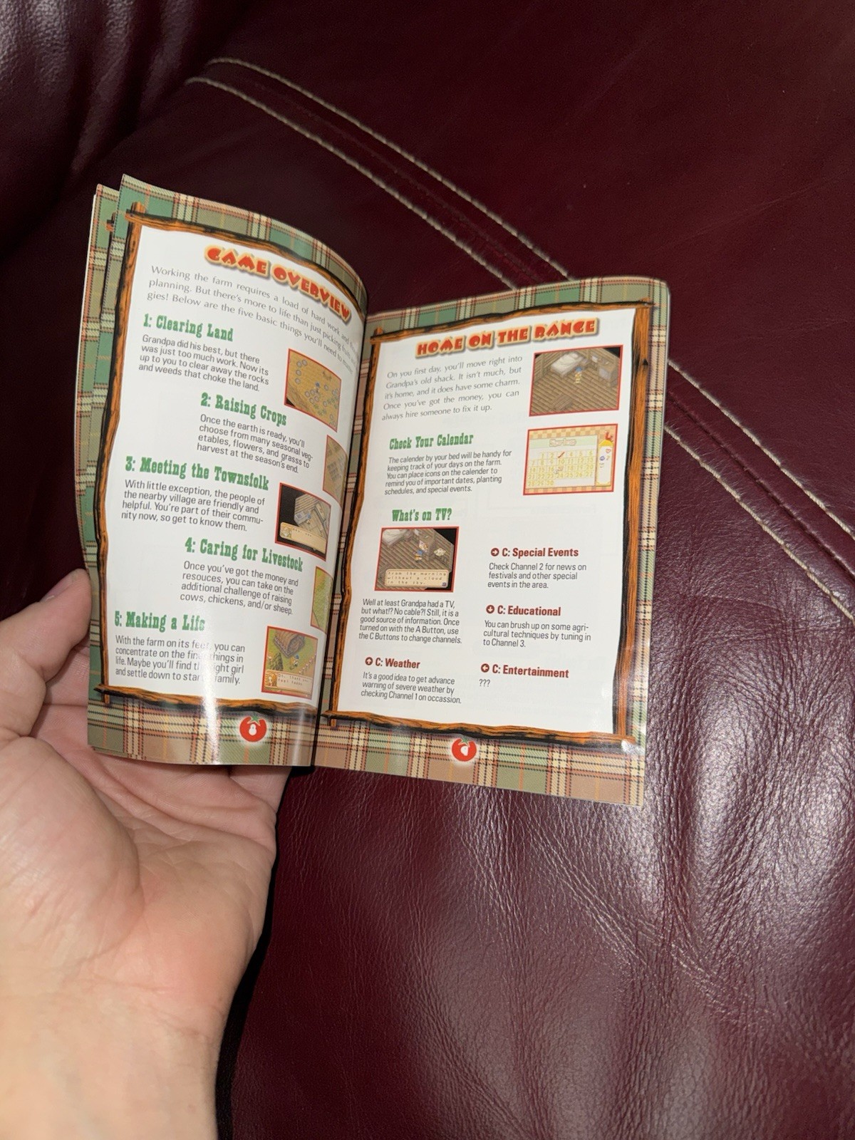 Harvest Moon 64 N64 Instruction Manual ONLY