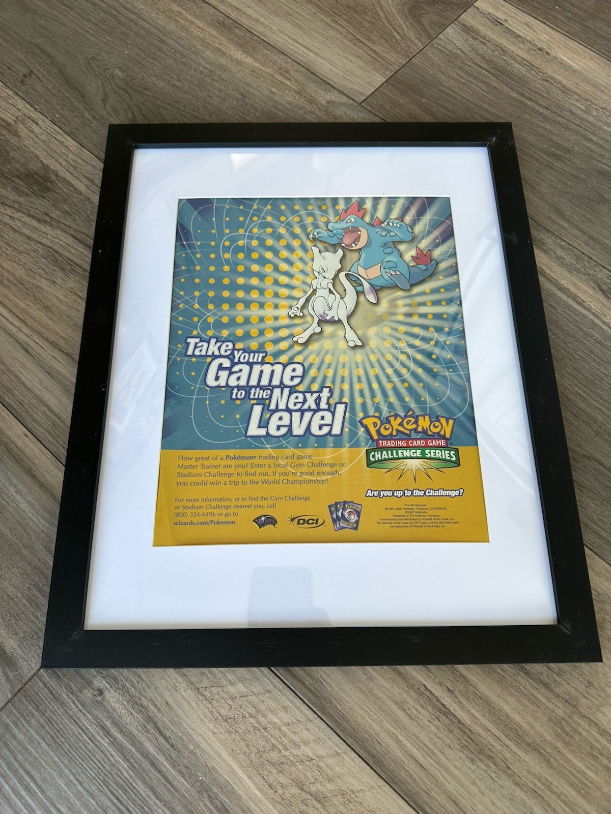 Authentic Framed Pokemon VTG 11×14 Challenge Series Mewtwo Feraligatr