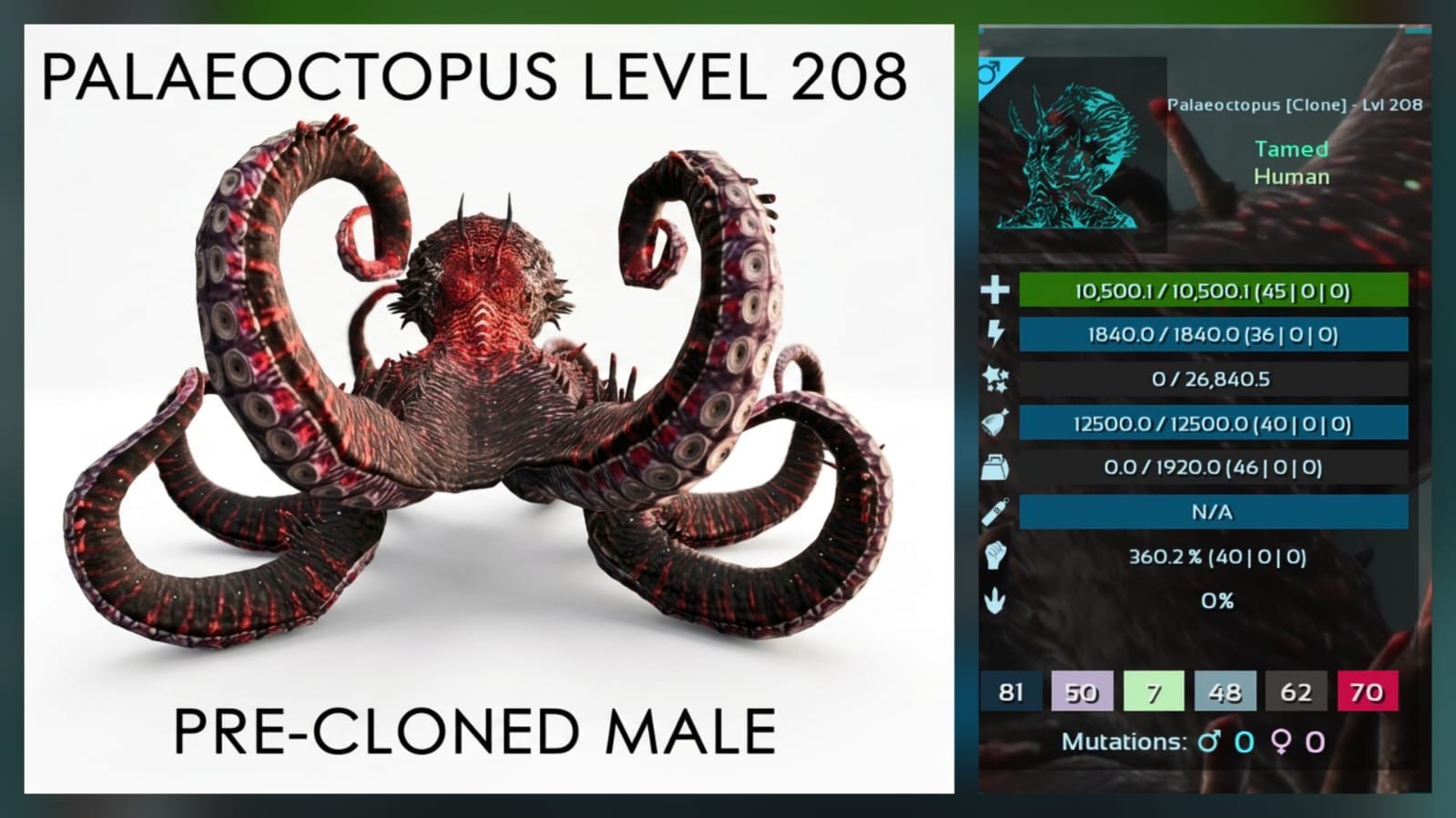 PALAEOCTOPUS CLONED- Genesis – New Dino – Ark Ascended PVE Official Crossplay