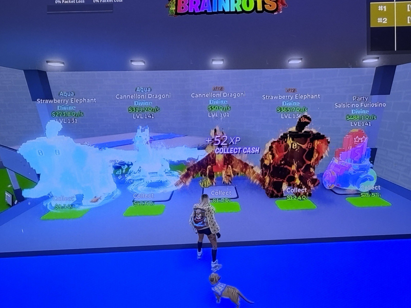 Go Up For Brainrots Read The Description(individual Prices)
