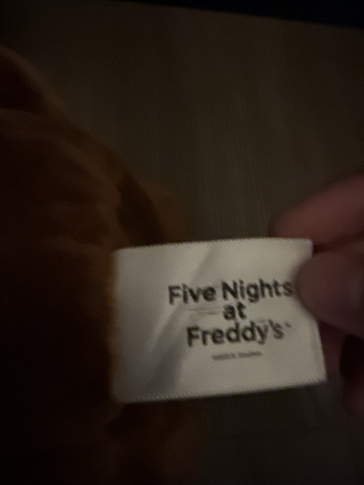 FREDDY FAZBEAR FUNKO FIVE NIGHTS AT FREDDIES & FREDDY FAZBEAR JAZWARES PLUSHIES