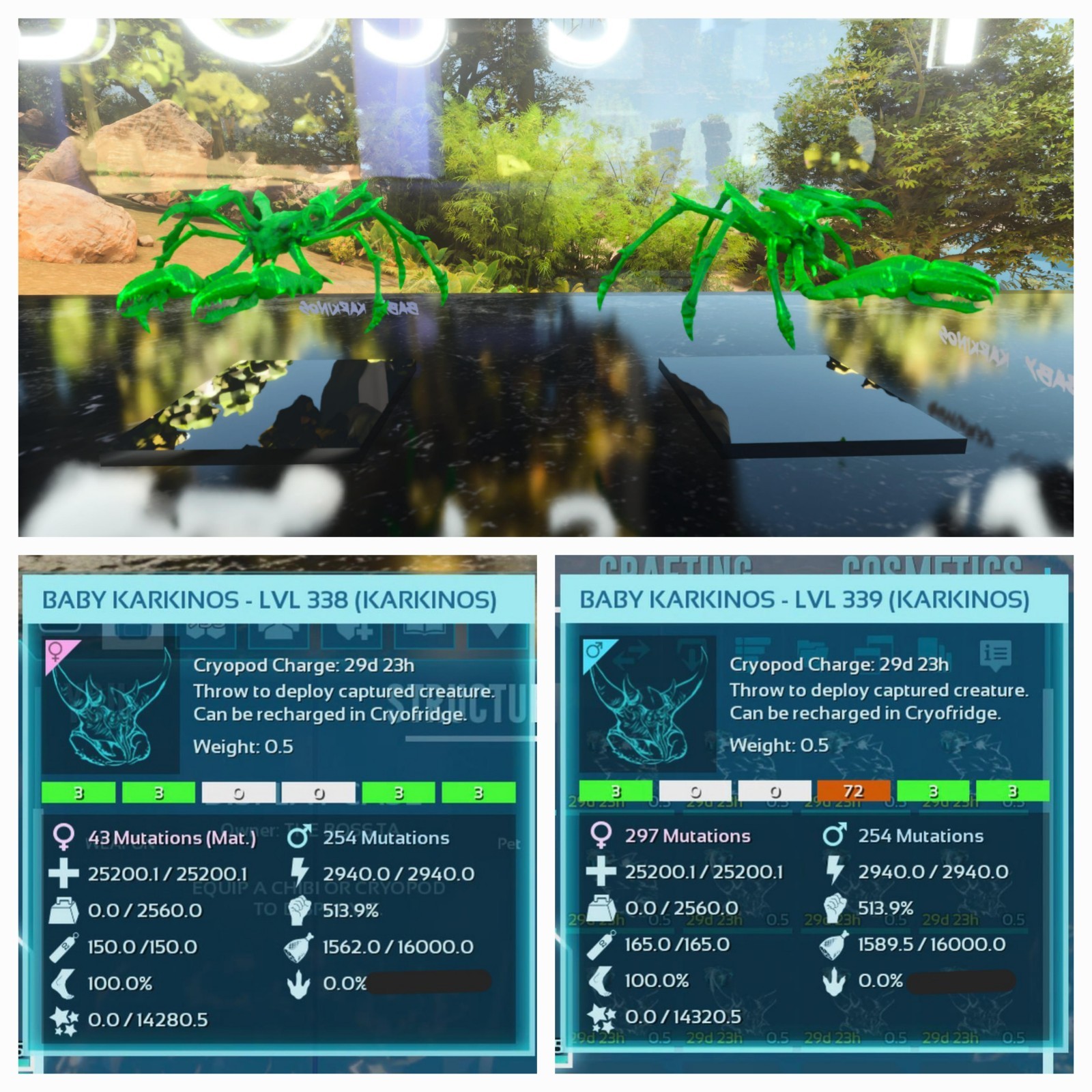 ARK ASCENDED PVE OFFICIAL PAIR BABY KARKINOS GREEN 25K HP 2.5K WEIGHT 513 MELEE