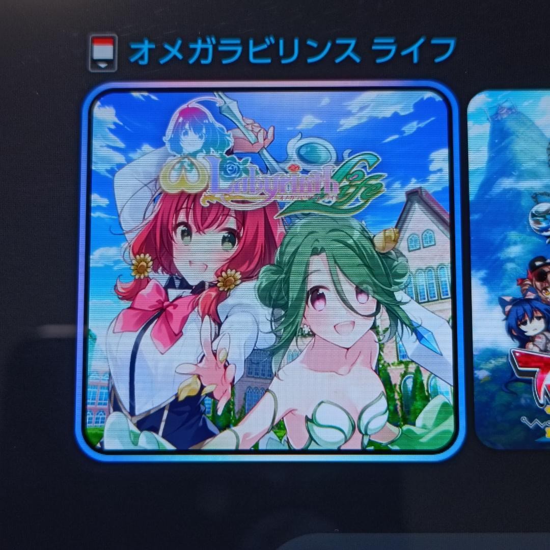 Omega Labyrinth Life Game Cartridge Nintendo Switch RPG English Text D3PUBLISHER