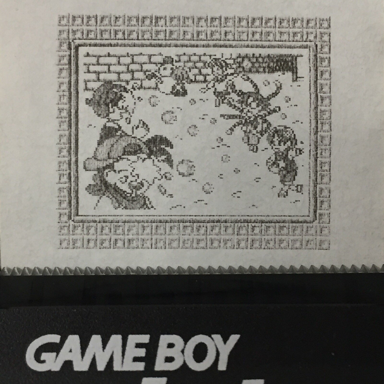 Harvest Moon 2 (GBC) ALL Photos – Game boy Printer Print-outs (64)