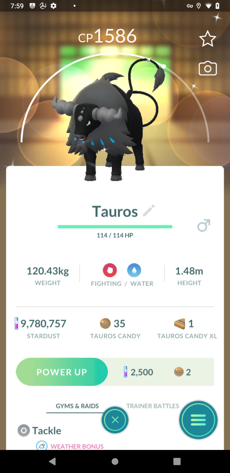 Shiny Paldean Tauros (Aqua Breed) – | Unregistered Tr—de ✨