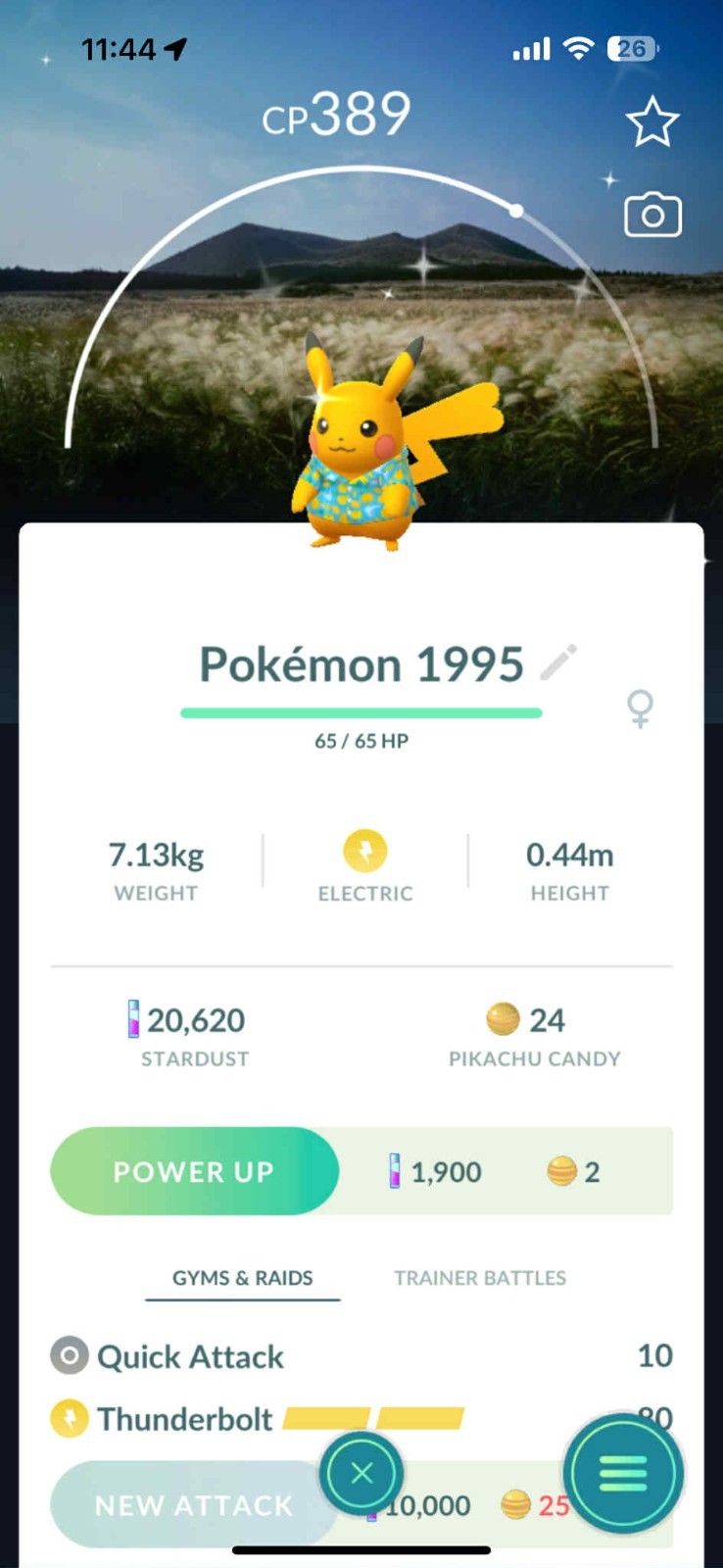 Pokémon Go | Shiny Pikachu Costume Blue T-Shirt Jeju Background ✨ MINI PTC