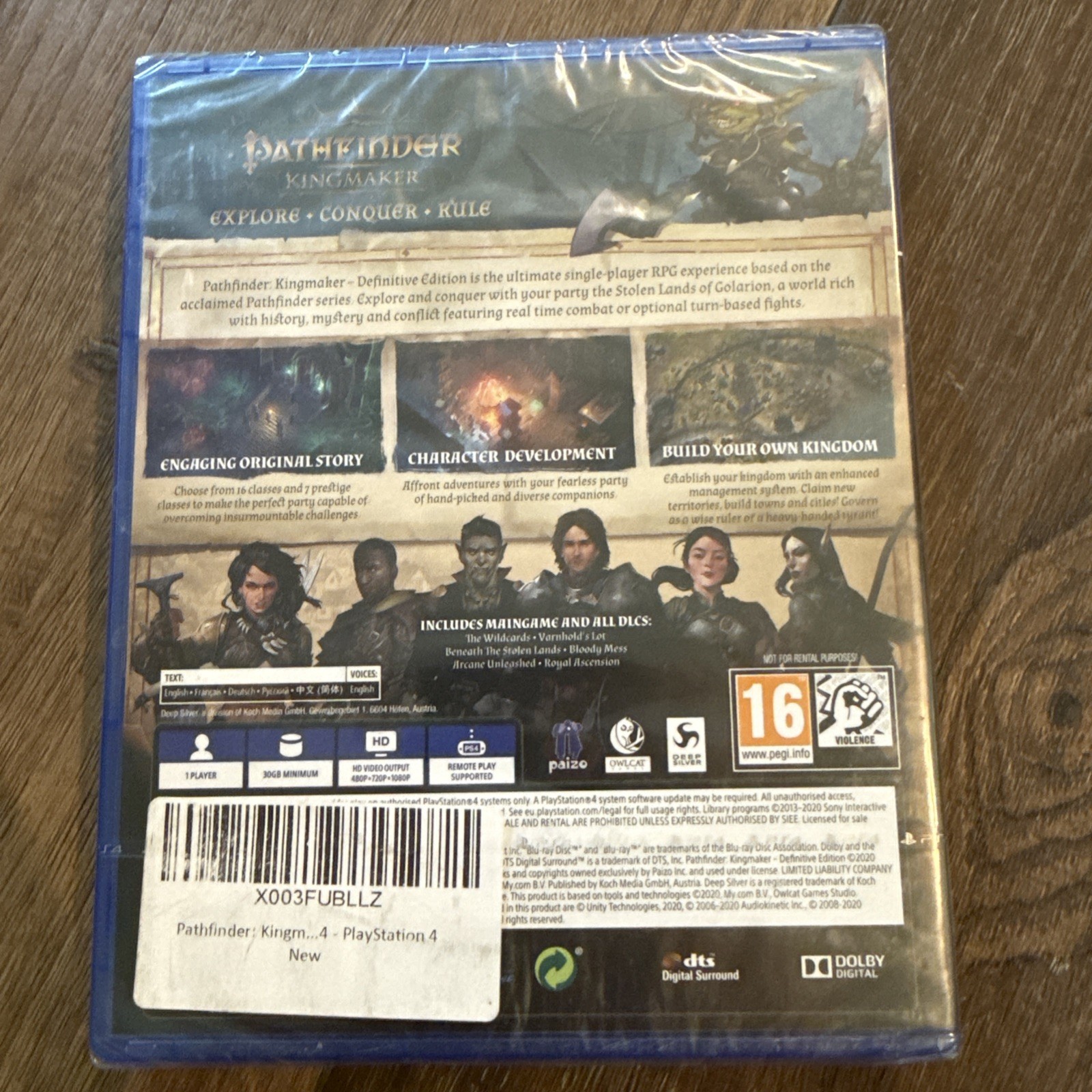 Pathfinder Kingmaker – Sony PlayStation 4