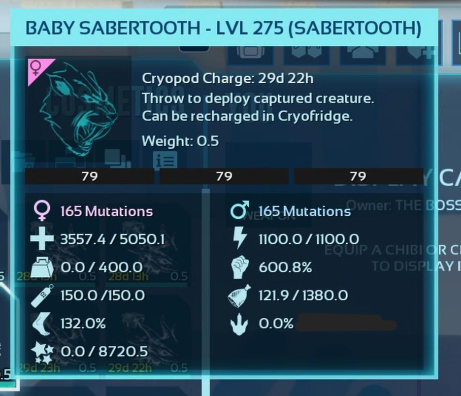 SABERTOOTH FULL BLACK ID79 PAIR BABY TOP STATUS ARK ASCENDED PVE PC/XBOX/PS5