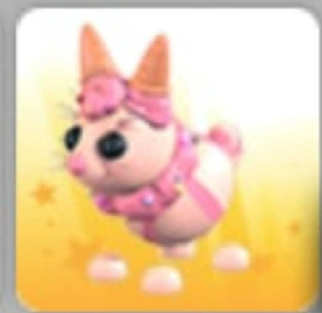 Candy Hare | NFR | MFR | Adopt Now