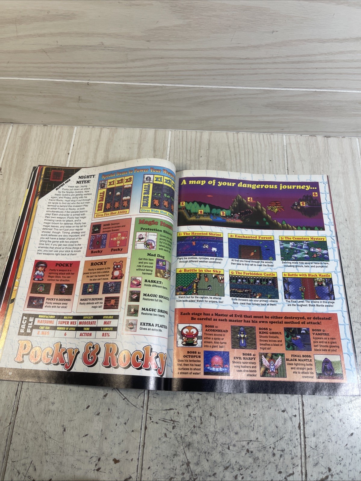 Electronic Gaming Montly – 1994 Video Game Buyer´s Guide