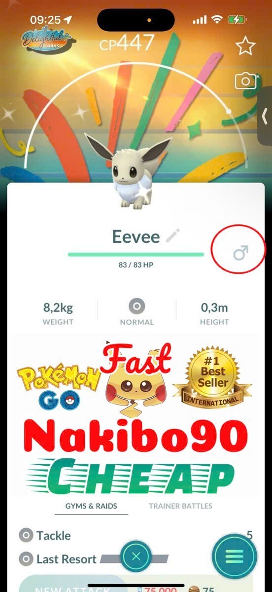 Pokemon✨Shiny Eevee Special Delightful Days Male Background✨Tra de✨Go✨P’TC✨