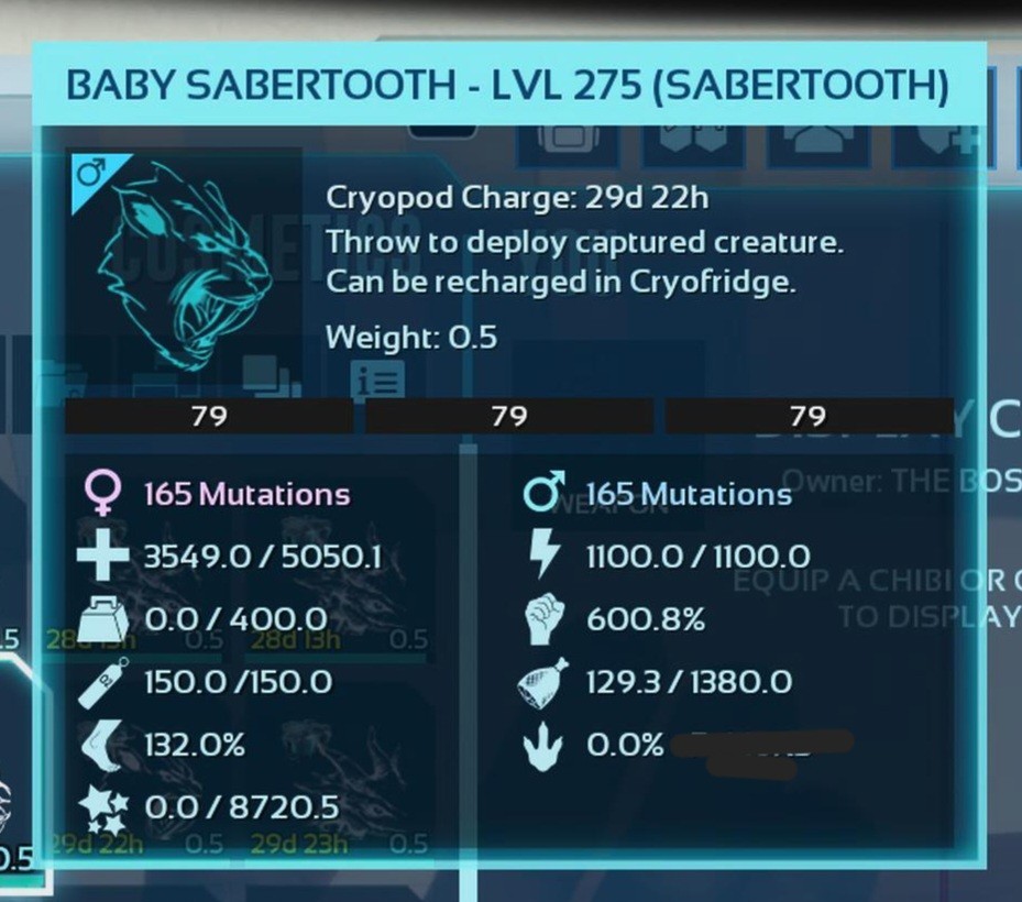 SABERTOOTH FULL BLACK ID79 PAIR BABY TOP STATUS ARK ASCENDED PVE PC/XBOX/PS5
